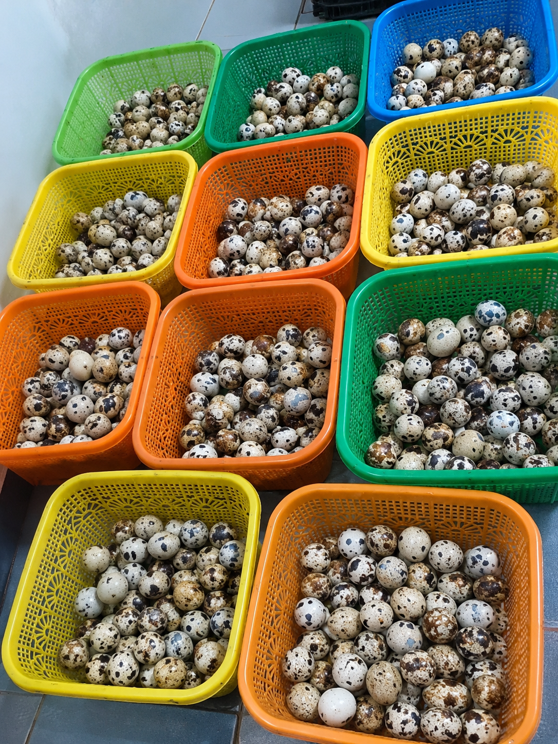 Telur puyuh per kg